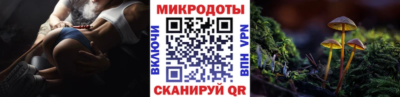 Галлюциногенные грибы Cubensis blacksprut сайт Венёв